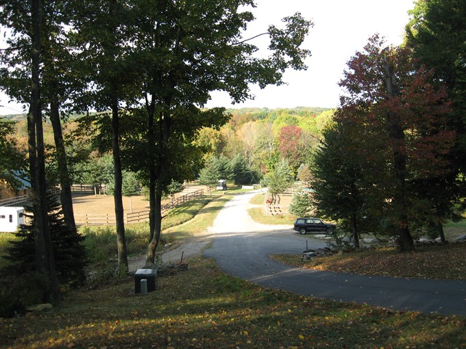 drivewayview.jpg